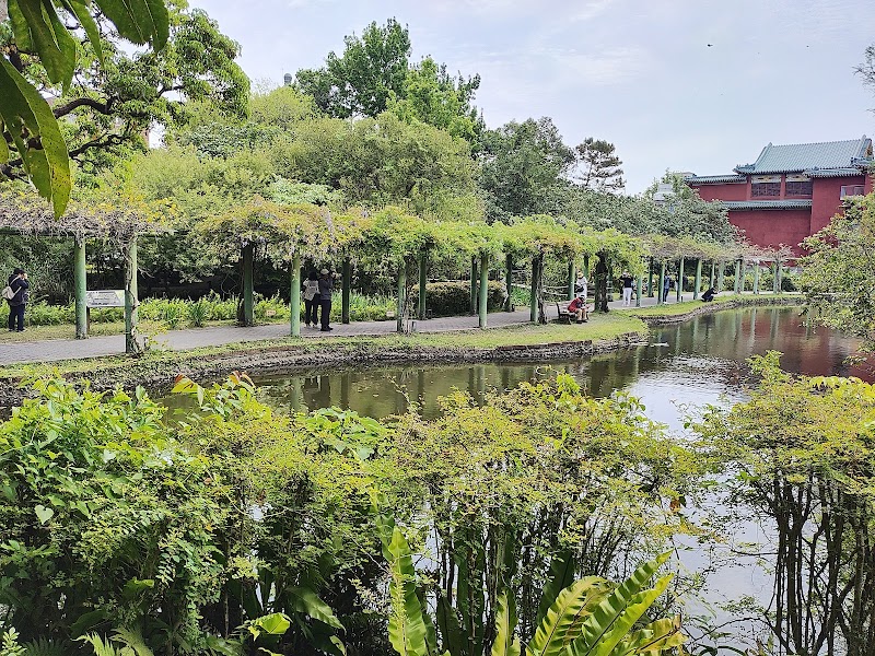 Small Pond of The Taipei Botanical Garden - Small Pond of The Taipei Botanical Garden No. 49號, Nanhai Rd, 中正區 Zhongzheng District, Taipei City, Taiwan 100