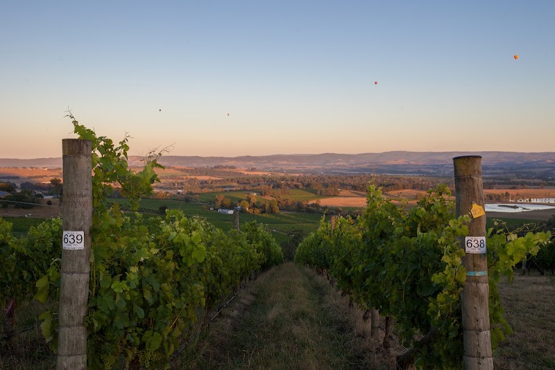 Yarra Valley Winery Tours - Yarra Valley Winery Tours, 17 Hightech Pl, Lilydale VIC 3140, Australia