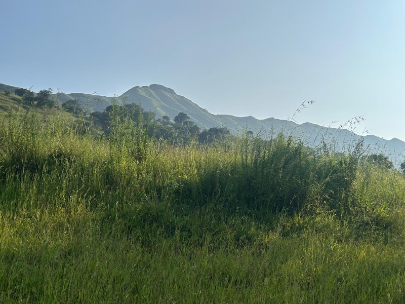 Legacy Lands - Premium Farmhouse Plots, Velhe - Legacy Lands - Premium Farmhouse Plots, Velhe, 7JPW+R72, Velhe, Velhe Kh. Ghera, Maharashtra 412212, India
