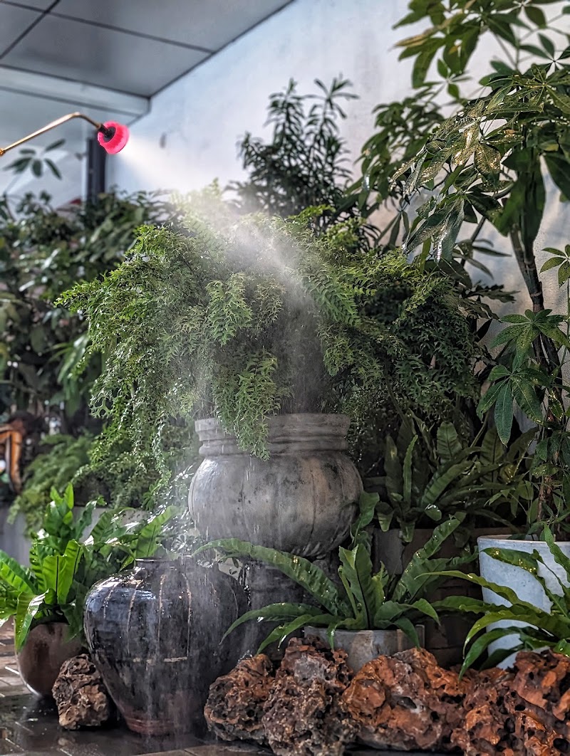 Plant People - Plant People Ground Floor, Raghuvanshi Mansion, Raghuvanshi Mills, Gandhi Nagar, Upper Worli, Worli, Mumbai, Maharashtra 400013, India