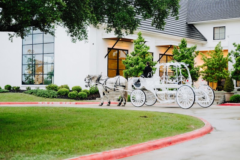 White Horse and Carriage Company - White Horse and Carriage Company Box 5089, San Antonio, TX 78201, USA
