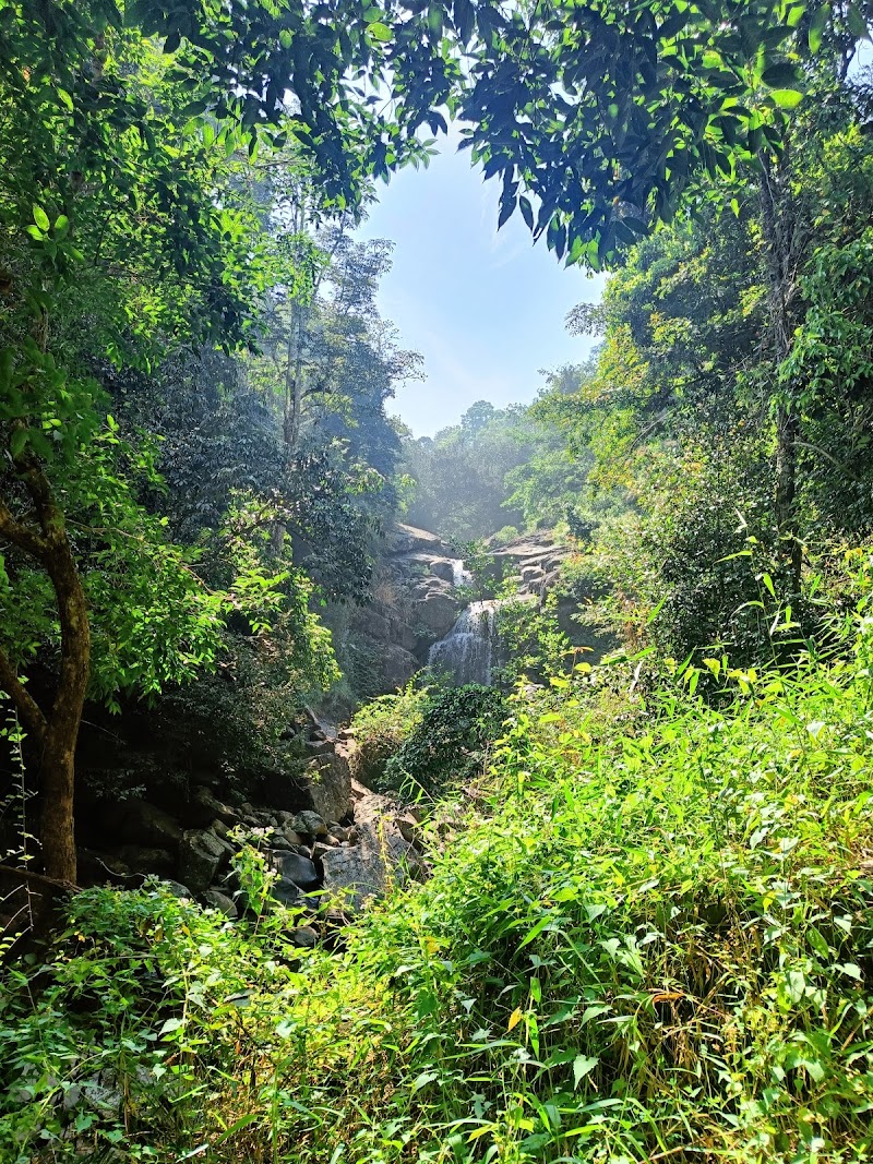Makkiyad Meenmutty Water Falls - Makkiyad Meenmutty Water Falls Korome- Karimbil Rd, Thondernad, Kanjirangad, Kerala 670731, India