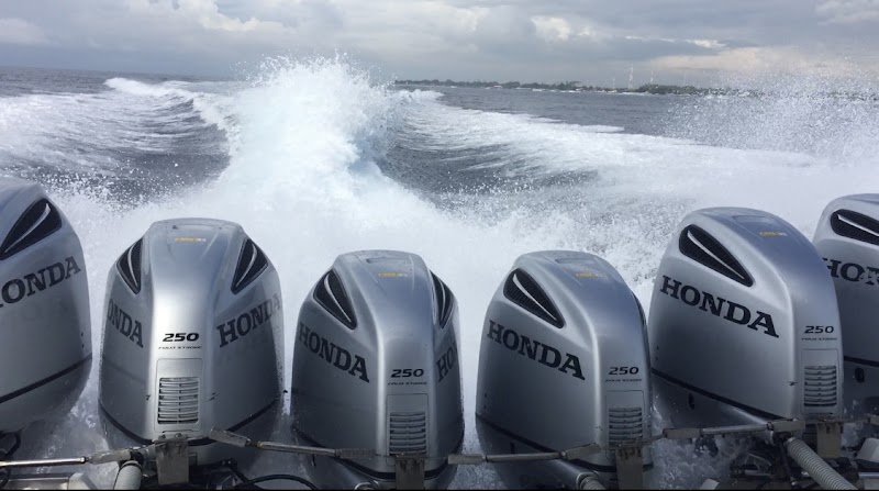 BlueWater Express | Serangan (Bali) Boat to Gili Islands & Nusa Penida - BlueWater Express | Serangan (Bali) Boat to Gili Islands & Nusa Penida, Jl. Tukad Punggawa, Serangan, Denpasar Selatan, Kota Denpasar, Bali 80229, Indonesia