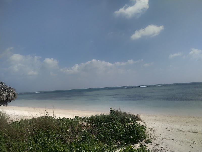 Kurusadai island - community based Eco tourism - Kurusadai island - community based Eco tourism, 765C+8G, Pamban, Tamil Nadu 623529, India