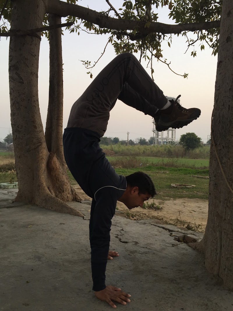 Meenakshi Yoga & Aerobics - Meenakshi Yoga & Aerobics Ward 2 A, Sector 28, Noida, Uttar Pradesh 201303, India