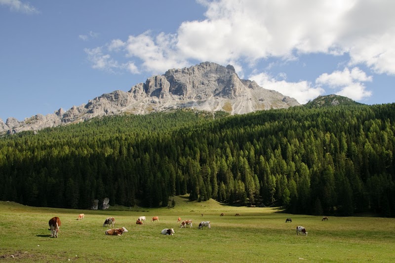 Cadini group - Cadini group, 32041 Auronzo di Cadore, Province of Belluno, Italy