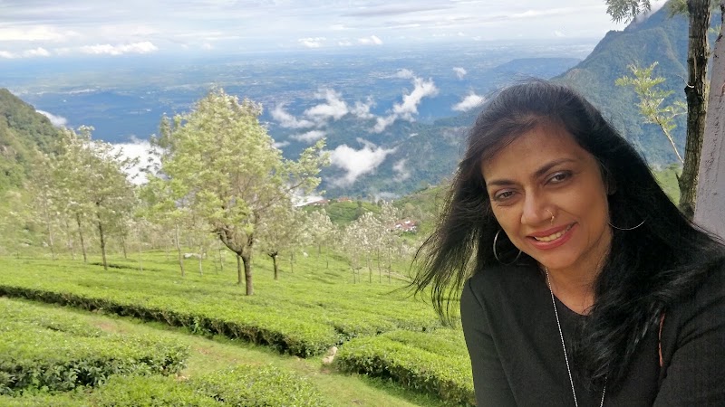 Tea Garden Tour - Tea Garden Tour 9R2C+8GP, Dolphin's Nose Rd, Alwarpet, Burliyar, Tamil Nadu 643102, India