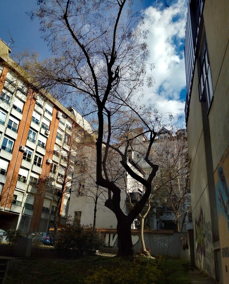 Vračar - Vračar Vračar, Belgrade, Serbia
