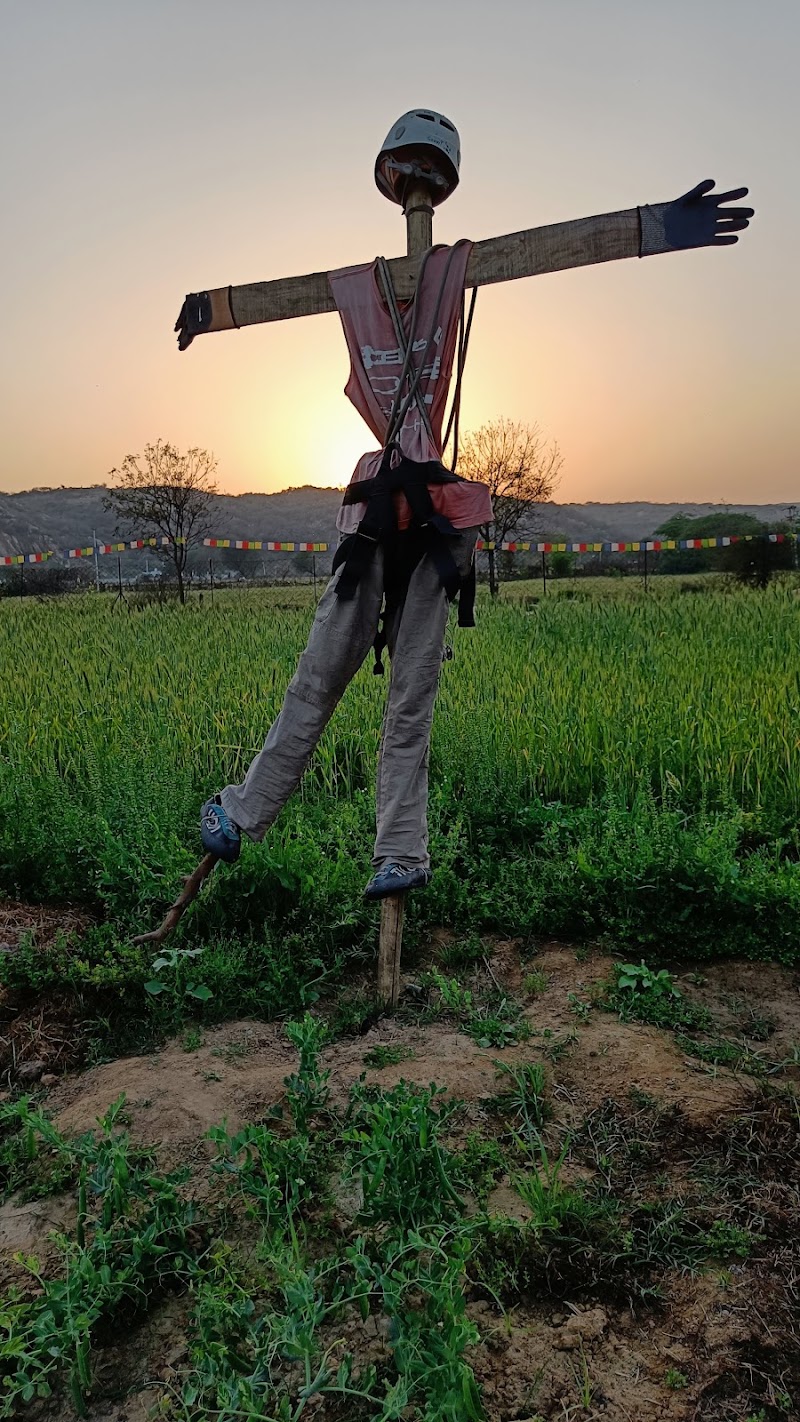 Delhi Outdoors