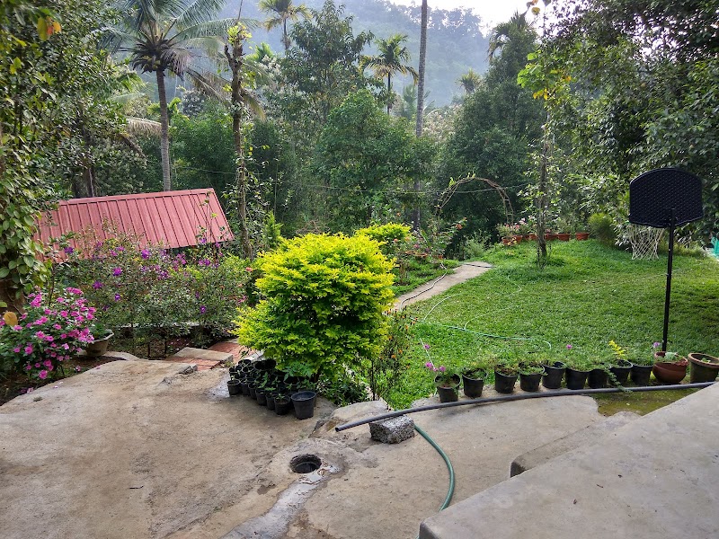 Mushroom Valley Homestay - Mushroom Valley Homestay Chithirapuram, Aadit, Kerala 685565, India