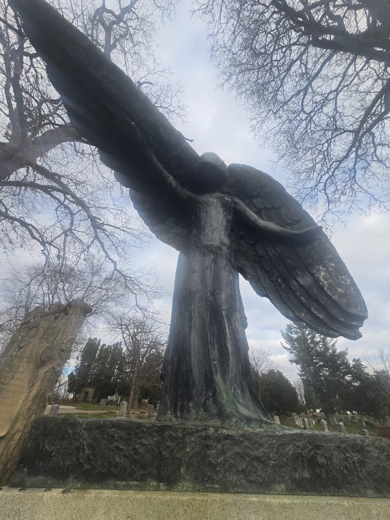 The Black Angel - The Black Angel, 704 Reno St, Iowa City, IA 52245, USA