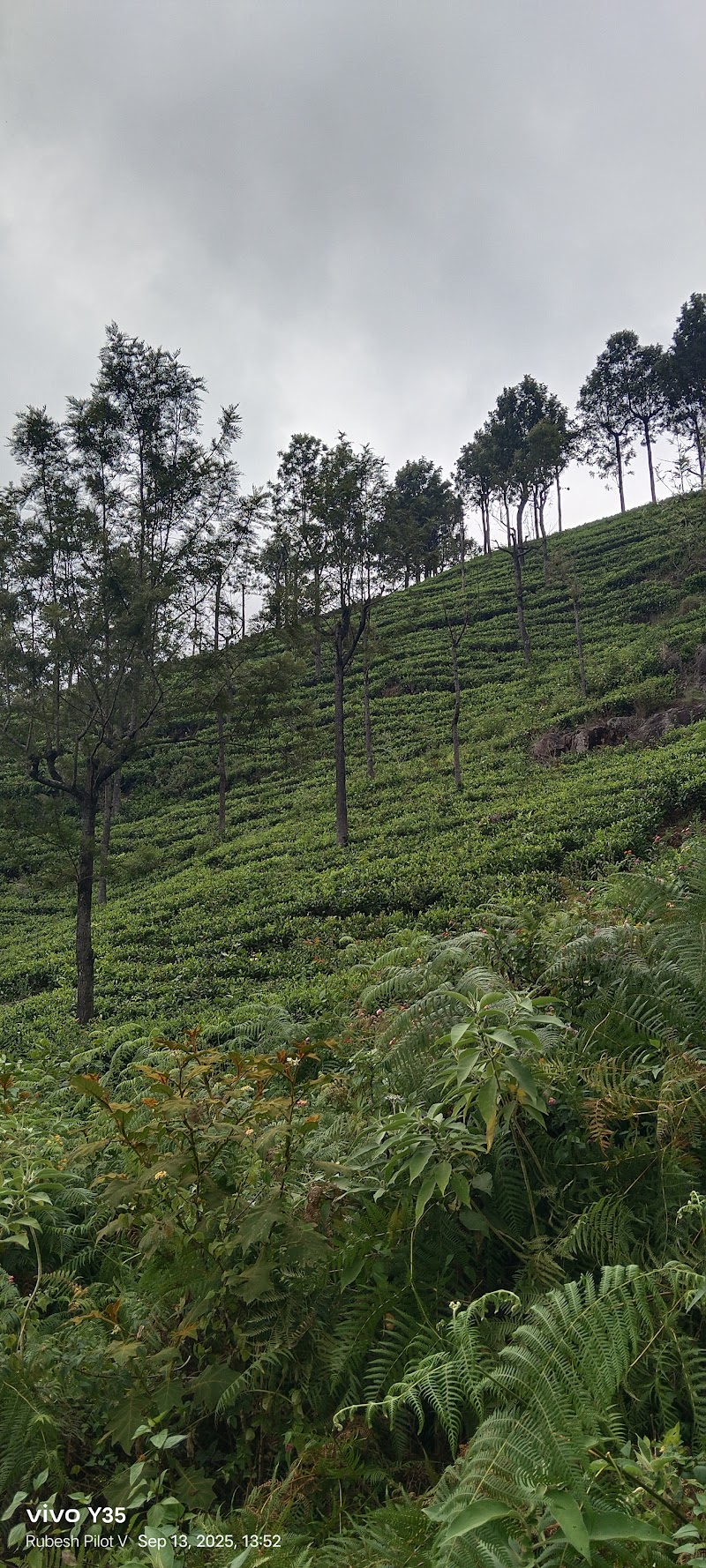 Coonoor Hill Station - Coonoor Hill Station 8QWV+2WJ, Upper Bazaar St, Kumaran Nagar, Coonoor, Tamil Nadu 643102, India