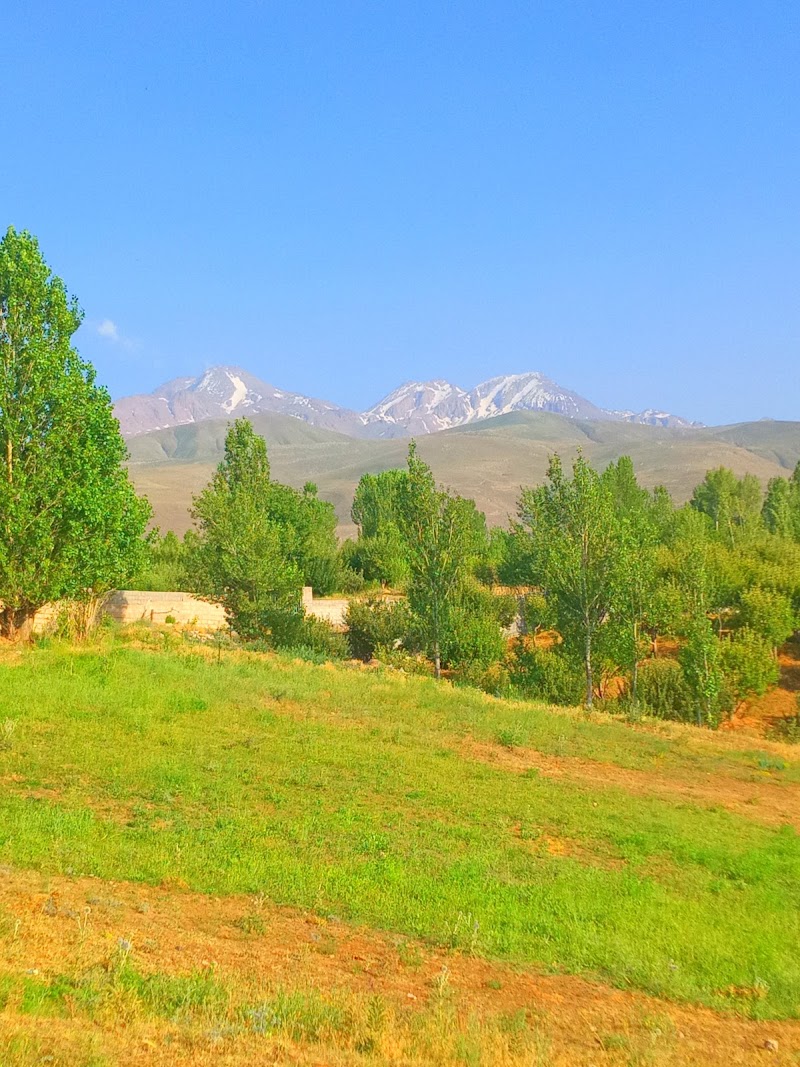Meshginshahr Forest Park - Meshginshahr Forest Park, 9MWW+V3H, Meshginshahr, Iran
