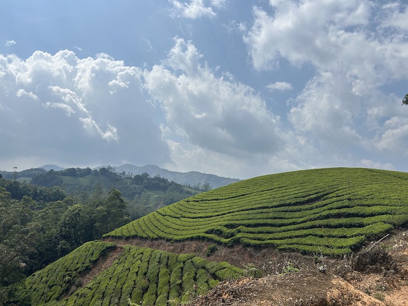 Munnar Info - Meeting point