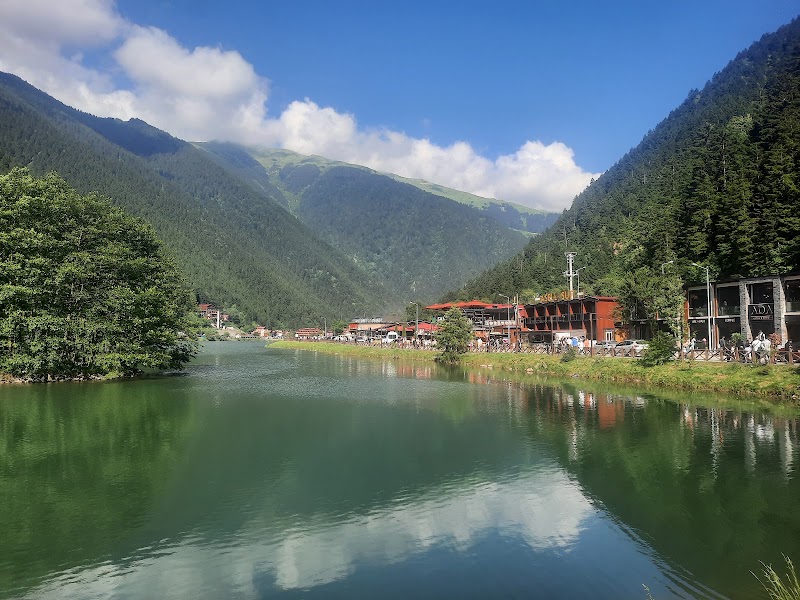 Uzungol park