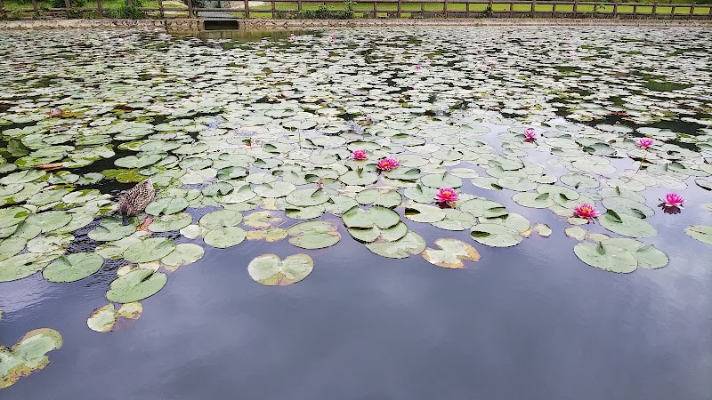 Mihama - Mihama, Minamimuro District, Mie, Japan