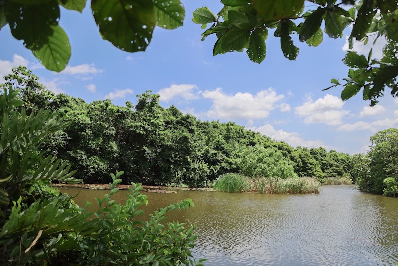 Cinnamon Paradise, Ahangama - Cinnamon Paradise, Ahangama Sharamadana Mawatha, Ahangama, Sri Lanka