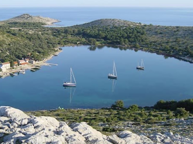 Dalmatian coastal - Dalmatian coastal, Croatia