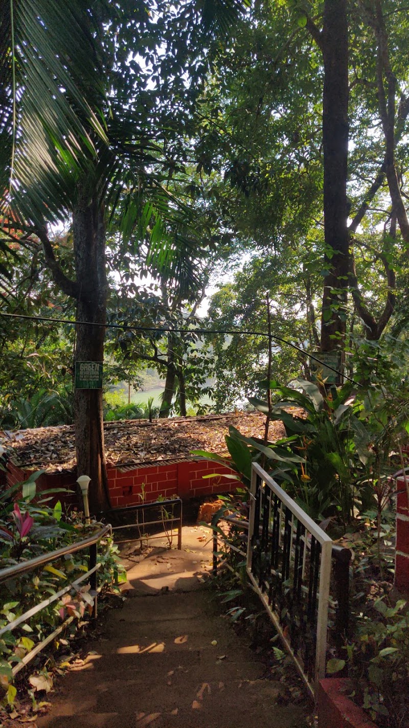 Nature Home Stay - Nature Home Stay Ganesh Gudi near Supadam @ post Ilva, Dandeli, Ambeli, Karnataka 581365, India