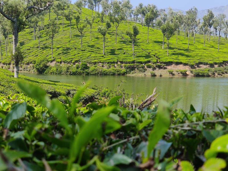 Chinnakanal - Chinnakanal Chinnakanal, Kerala, India