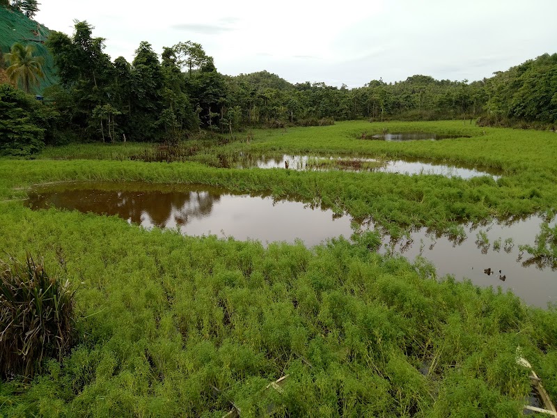 Paghungawan Marsh