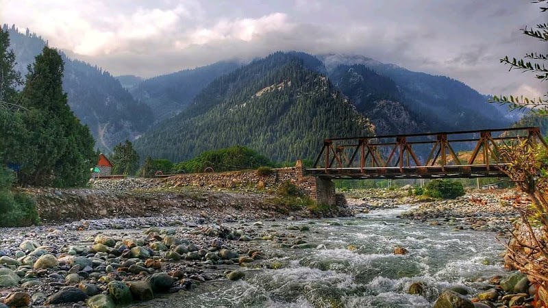 Gurez Valley - Gurez Valley, Forest Block 193503