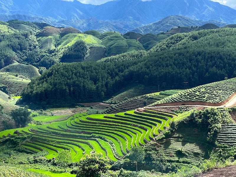 North Vietnam Tours - North Vietnam Tours 316 Đ. Nguyễn Trãi, Street, Đống Đa, Hà Nội, Vietnam