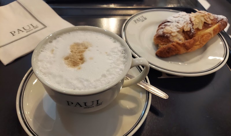 Paul - Paul, Jugoslávská 17/6, Vinohrady, 120 00 Praha-Praha 2, Czechia