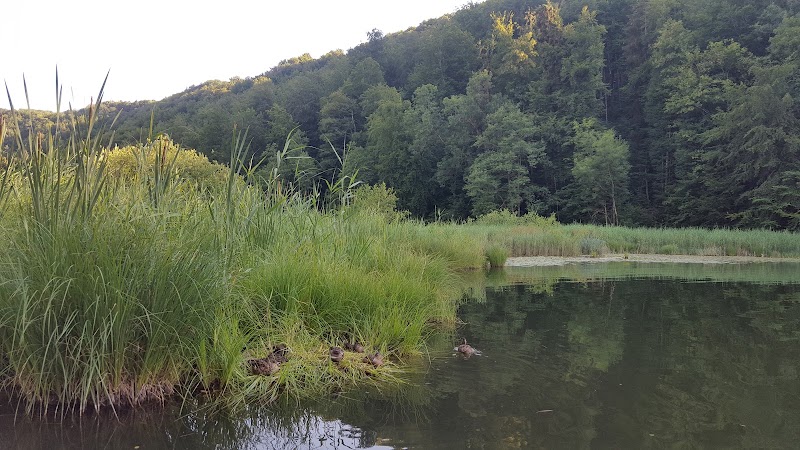 Egelsee - Egelsee Egelsee, 8962 Bergdietikon, Switzerland