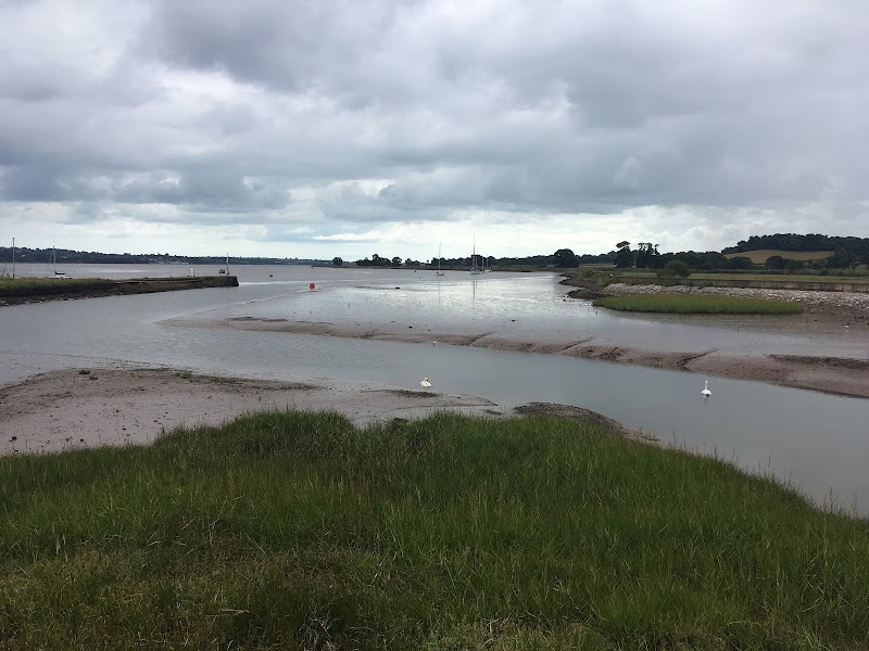River Exe - River Exe, United Kingdom