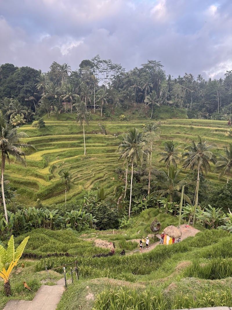 Ubud tour | Bali Tour | Bali Ubud Taxi driver Private - Puja - Ubud tour | Bali Tour | Bali Ubud Taxi driver Private - Puja, Jl. Monkey Forest, Ubud, Kecamatan Ubud, Kabupaten Gianyar, Bali 80571, Indonesia