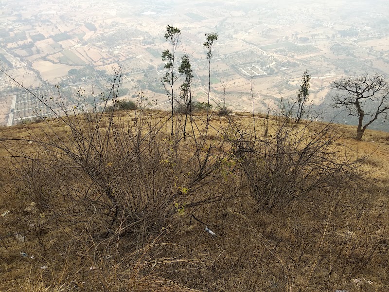 Nandi Betta Park - Nandi Betta Park 9MCM+735, Unnamed Road, Nandi Hills, Karnataka 562103, India