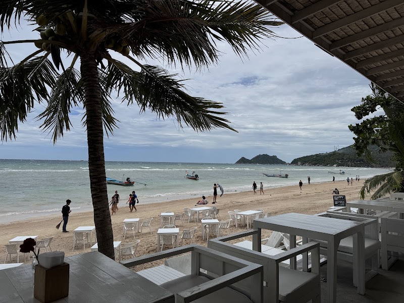 Whitening Restaurant - Whitening Restaurant 84360 246 Tambon Ko Tao, Amphoe Ko Pha-ngan, Chang Wat Surat Thani 84360, Thailand