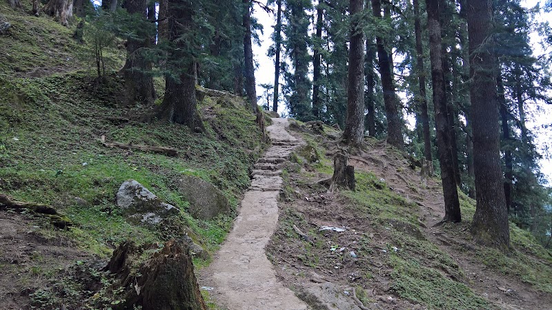 Churdhaar Peak - Churdhaar Peak, Himachal Pradesh 171211, India