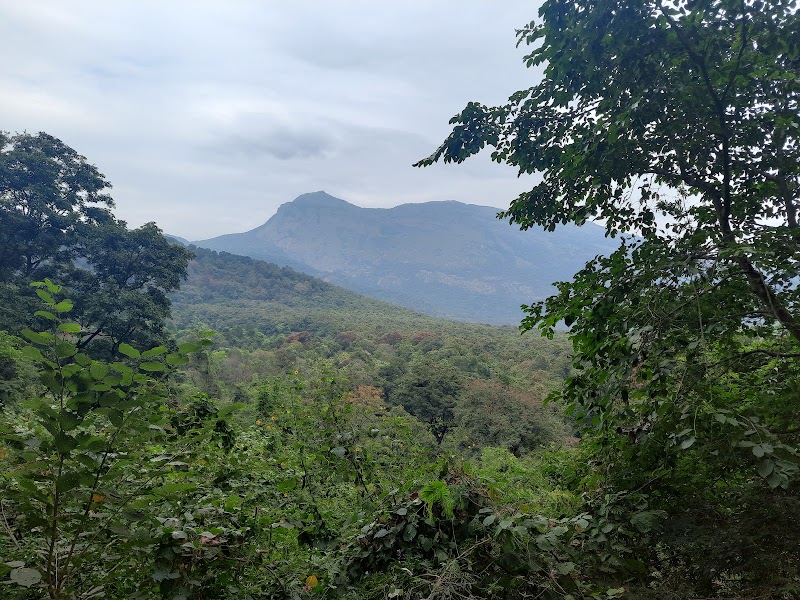 Siruvani Waterfalls - Siruvani Waterfalls, Noyyal River, WMQP+4RC, Booluvampatti, Tamil Nadu 641114, India