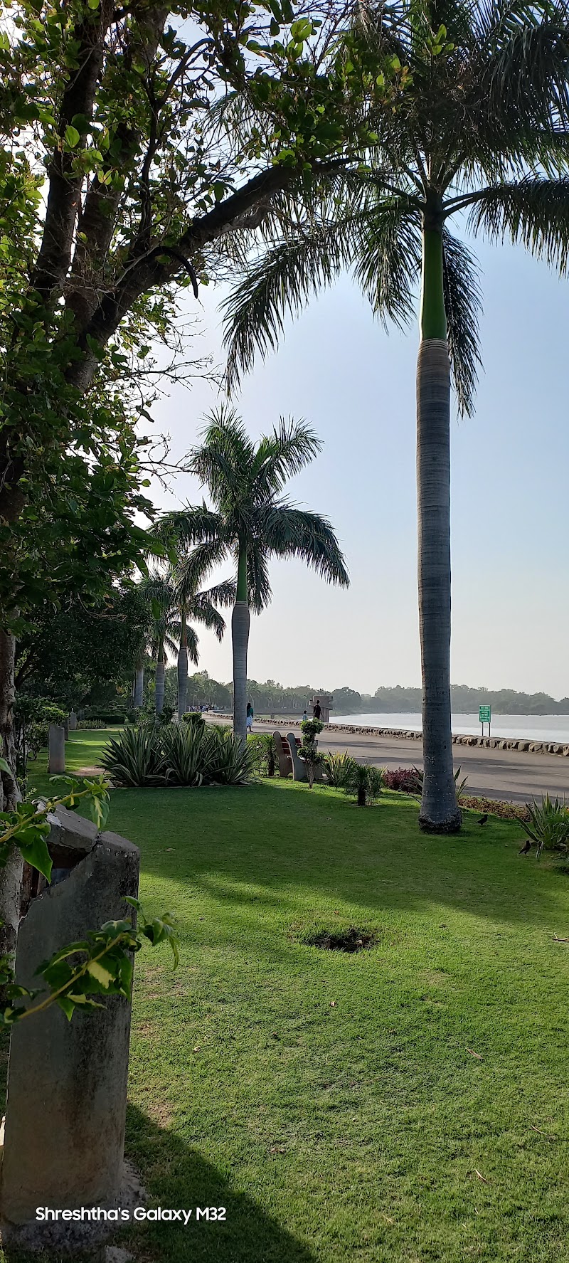 Bird watching area - Bird watching area 6084, Modern Housing Complex, Sector 13, Chandigarh, 160001, India