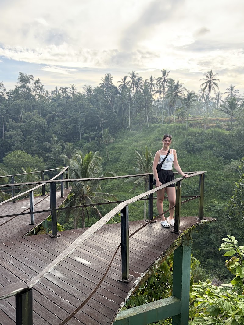 Ubud Area Tours- Best Tour Agency in Bali - Ubud Area Tours- Best Tour Agency in Bali, Pejeng kawan tatiapi kaje, Pejeng Kawan, Kecamatan Ubud, Kabupaten Gianyar, Bali 80552, Indonesia