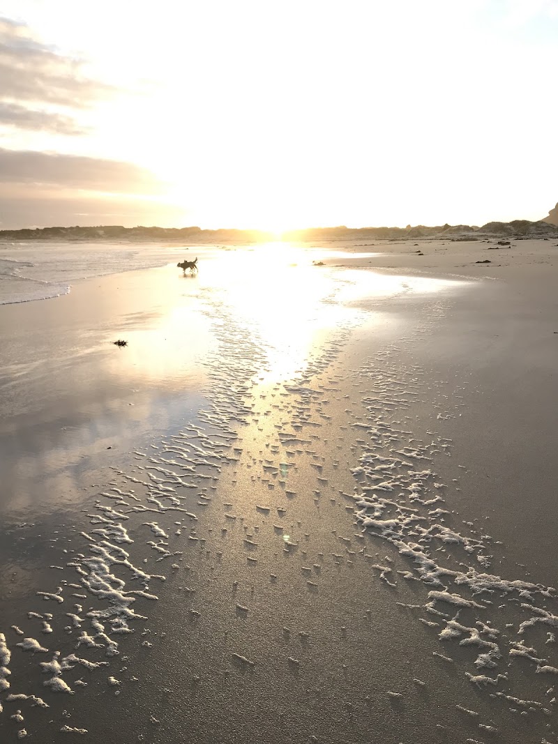 Silver Sands Beach - Silver Sands Beach, Central Way, Betty's Bay, 7141, South Africa