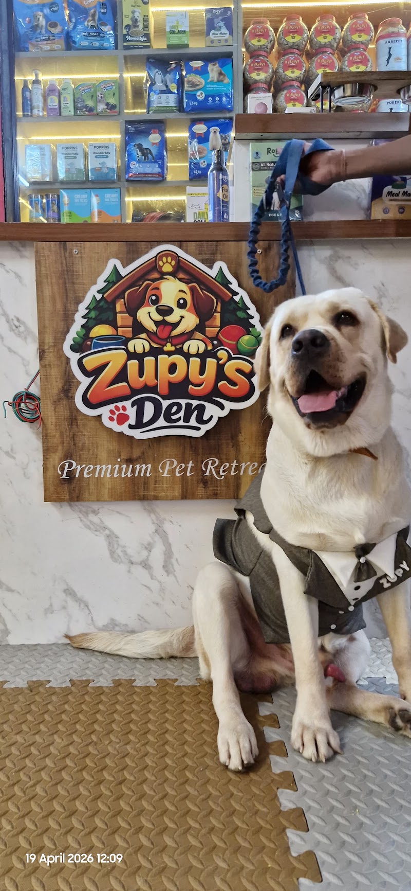 Zupy's Den | Premium Pet Retreat - Zupy's Den | Premium Pet Retreat, Zupy's Den, Dolphins Farm House Doomartalab, 236/8 & 236/13, Amanaka Thana Rd, near India Oil petrol pump, Amanaka, Raipur, Chhattisgarh 492099, India