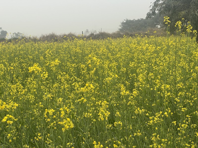 Sultanpur National Park Entry Gate - Sultanpur National Park Entry Gate 22, Sultanpur, Gurugram, Haryana 122506, India