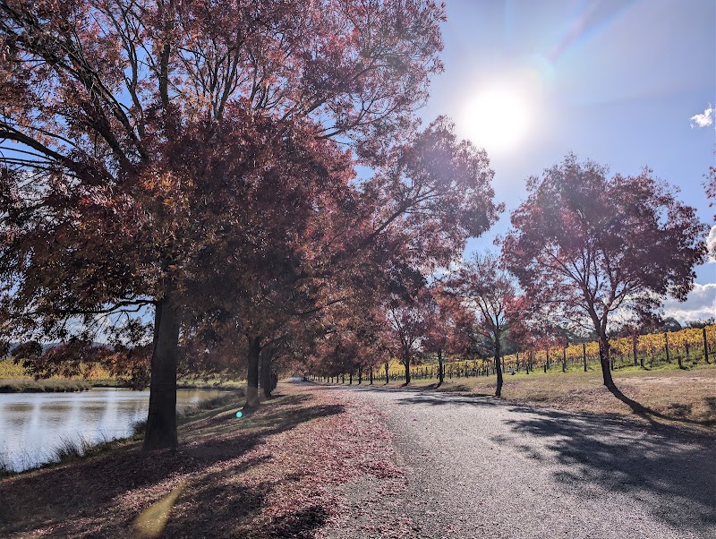 Yarrawood Estate - Yarrawood Estate, 1275 Melba Hwy, Yarra Glen VIC 3775, Australia