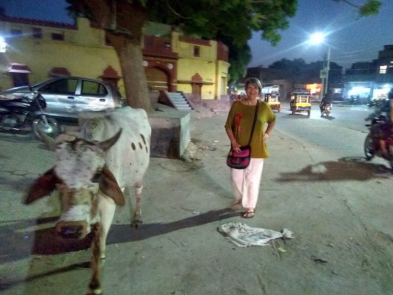 Guest House Fort view - Guest House Fort view 28GC+97Q, near Kota Gate, Transport Nagar, Hanuman Hatha, Bikaner, Rajasthan 334001, India