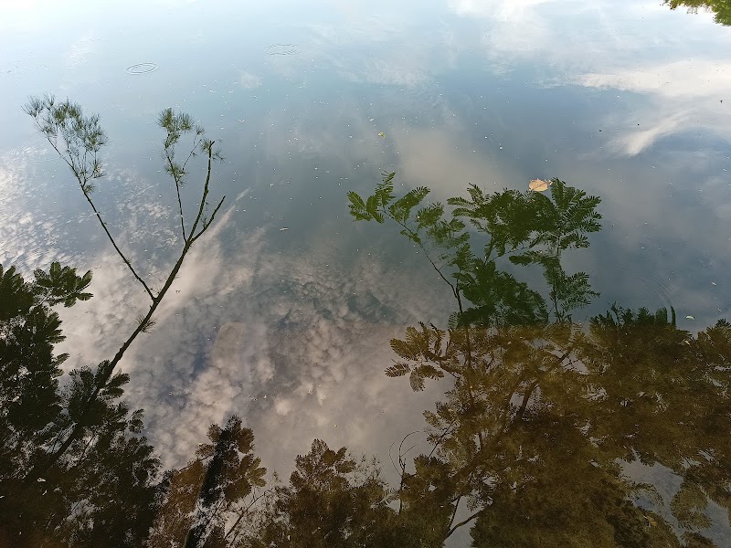 NilPukur Ghat - NilPukur Ghat B-118, Survey Park, Santoshpur, Kolkata, West Bengal 700075, India