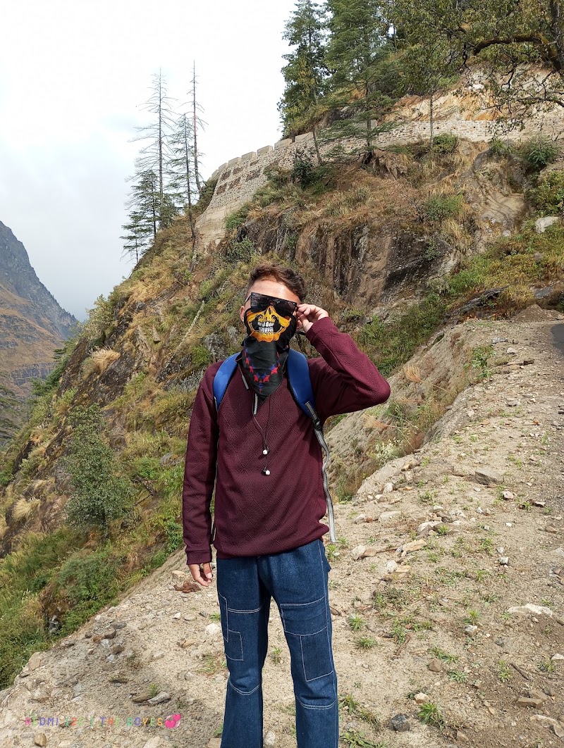 Paradise camp - Paradise camp Sunil, Auli Rd, Joshimath, Uttarakhand 246443, India