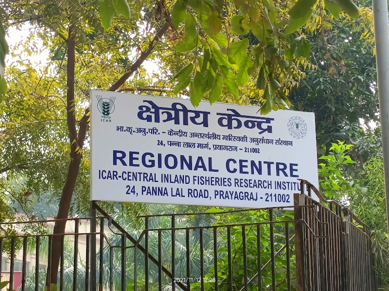ICAR-CIFRI, Prayagraj - ICAR-CIFRI, Prayagraj, 23A, Panna Lal Rd, Darbhanga Colony, George Town, Prayagraj, Uttar Pradesh 211002, India