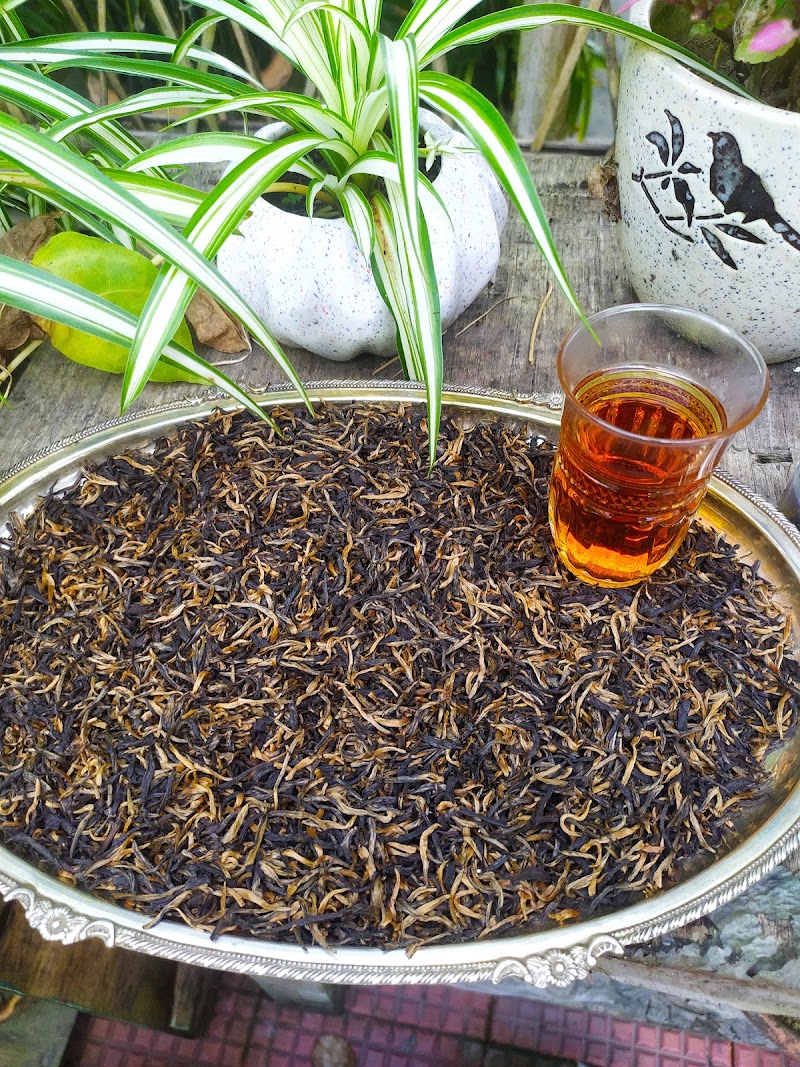 Heritage Tea Centre - Heritage Tea Centre, NH 37, Lahowal, Athabari Gaon, Assam 786012, India