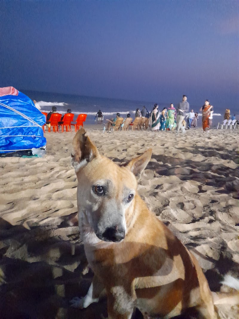 Puri Sea Beach Odisha. - Puri Sea Beach Odisha. QRR6+5F8, Jagannath Temple Rd, Puri, Odisha 752001, India