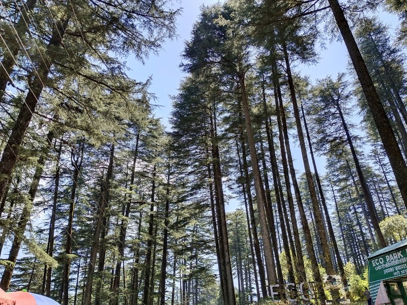 Eco Park - Eco Park Chamba - Mussoorie Rd, Dhanolti, Uttarakhand 249180, India