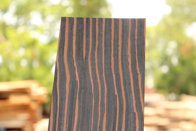 PK TIMBERS Experience Center - PK TIMBERS Experience Center Timber Market Squares, Devendra Nagar Main Rd, R.V.H. Colony, Jagriti Nagar, fafadih, Raipur, Chhattisgarh 492009, India