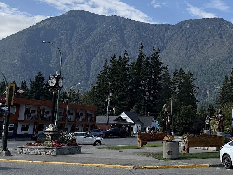 Chainsaw Carvings - Chainsaw Carvings 340b Wallace St, Hope, BC V0X 1L0, Canada